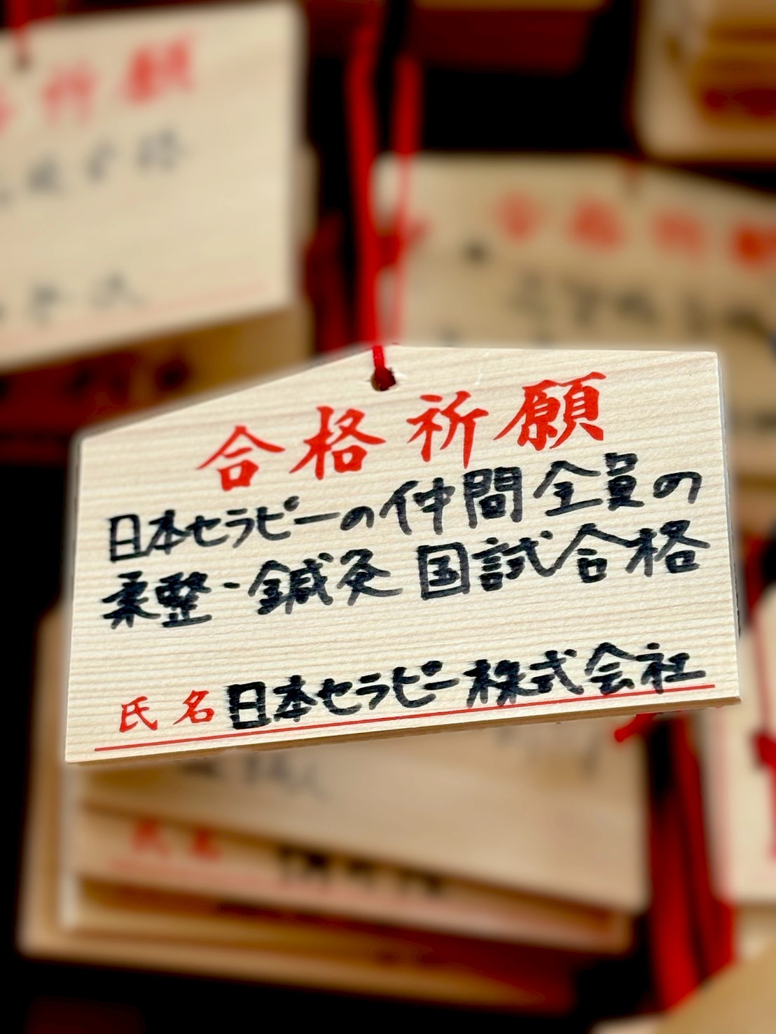 🎯 国家試験 合格祈願に行ってきました！⛩️✨